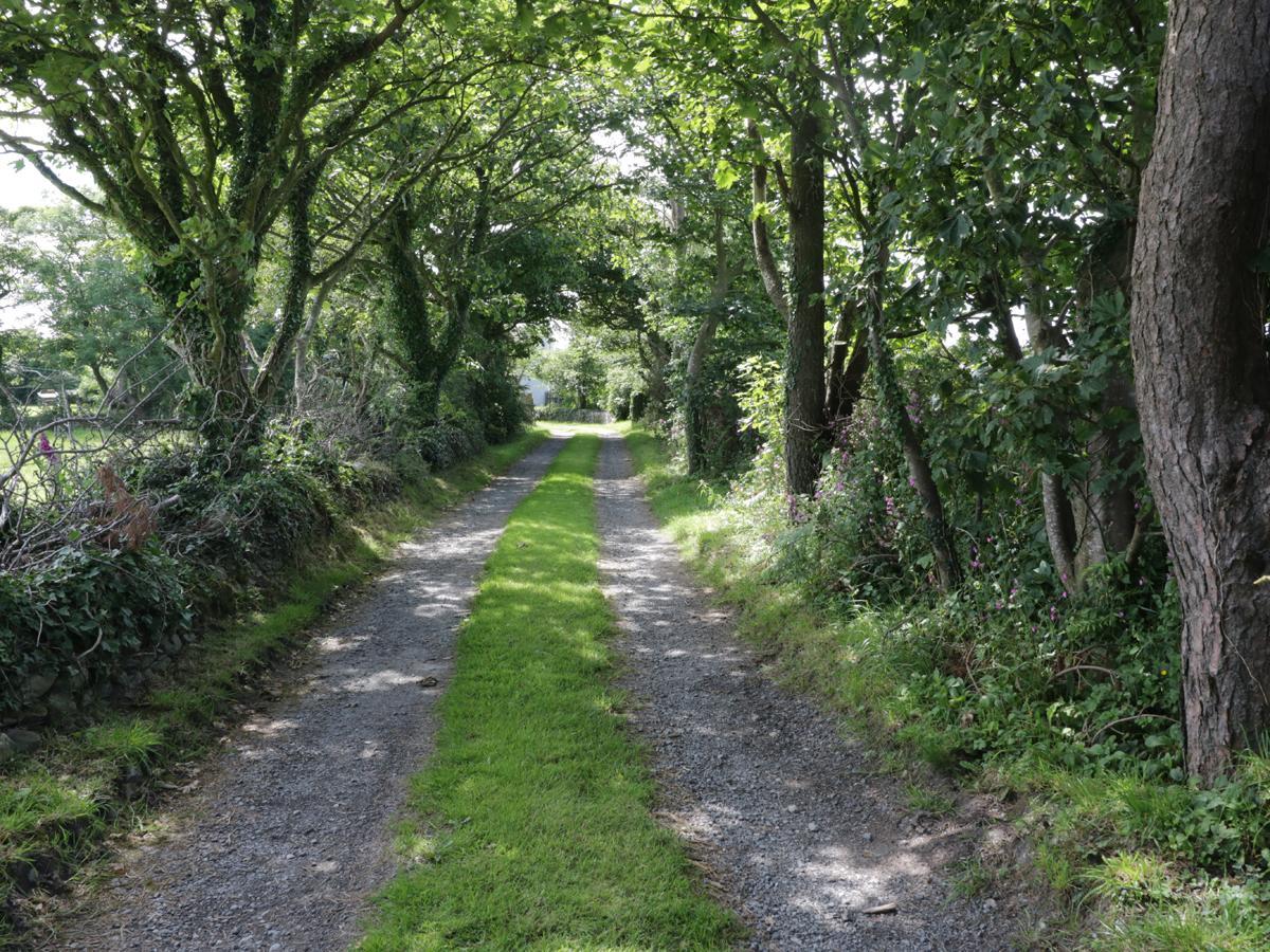 Bodegri Cottage Llanfflewyn Εξωτερικό φωτογραφία